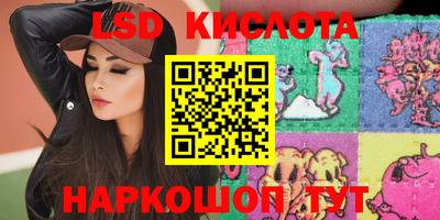 гидра Камышлов