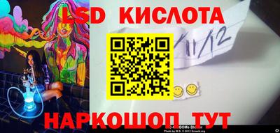 гидра Камышлов