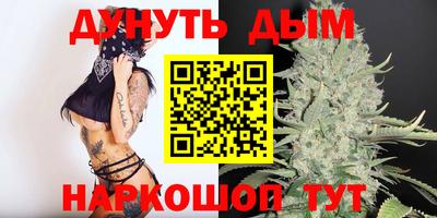 гидра Камышлов
