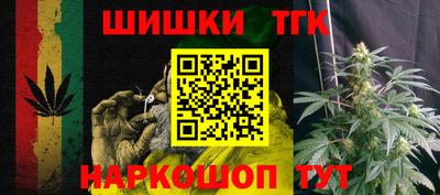гидра Камышлов