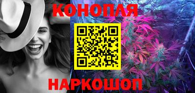 гидра Камышлов
