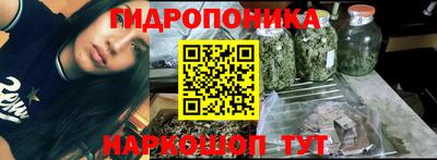 сатива Ирбит