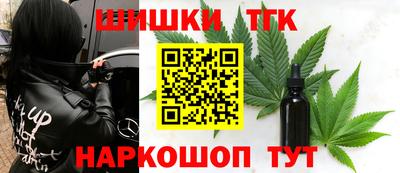 гидра Камышлов