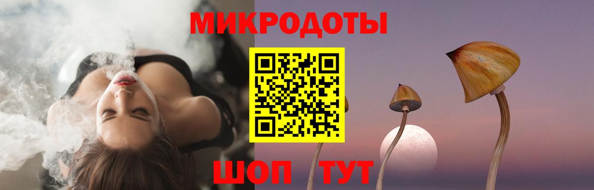 Галлюциногенные грибы Psilocybine cubensis Лангепас